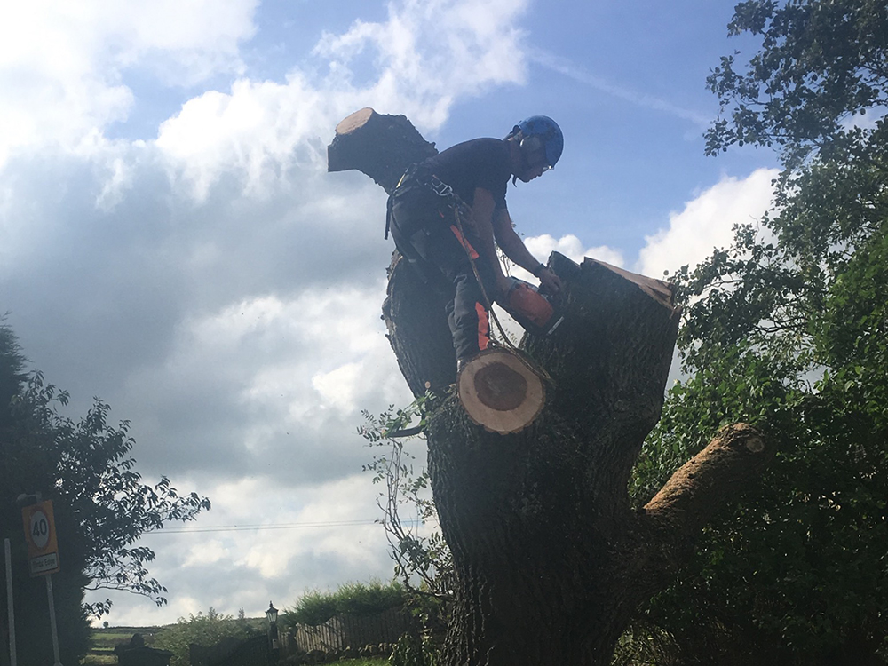 Tree & Garden Services Huddersfield & Leeds Equinox